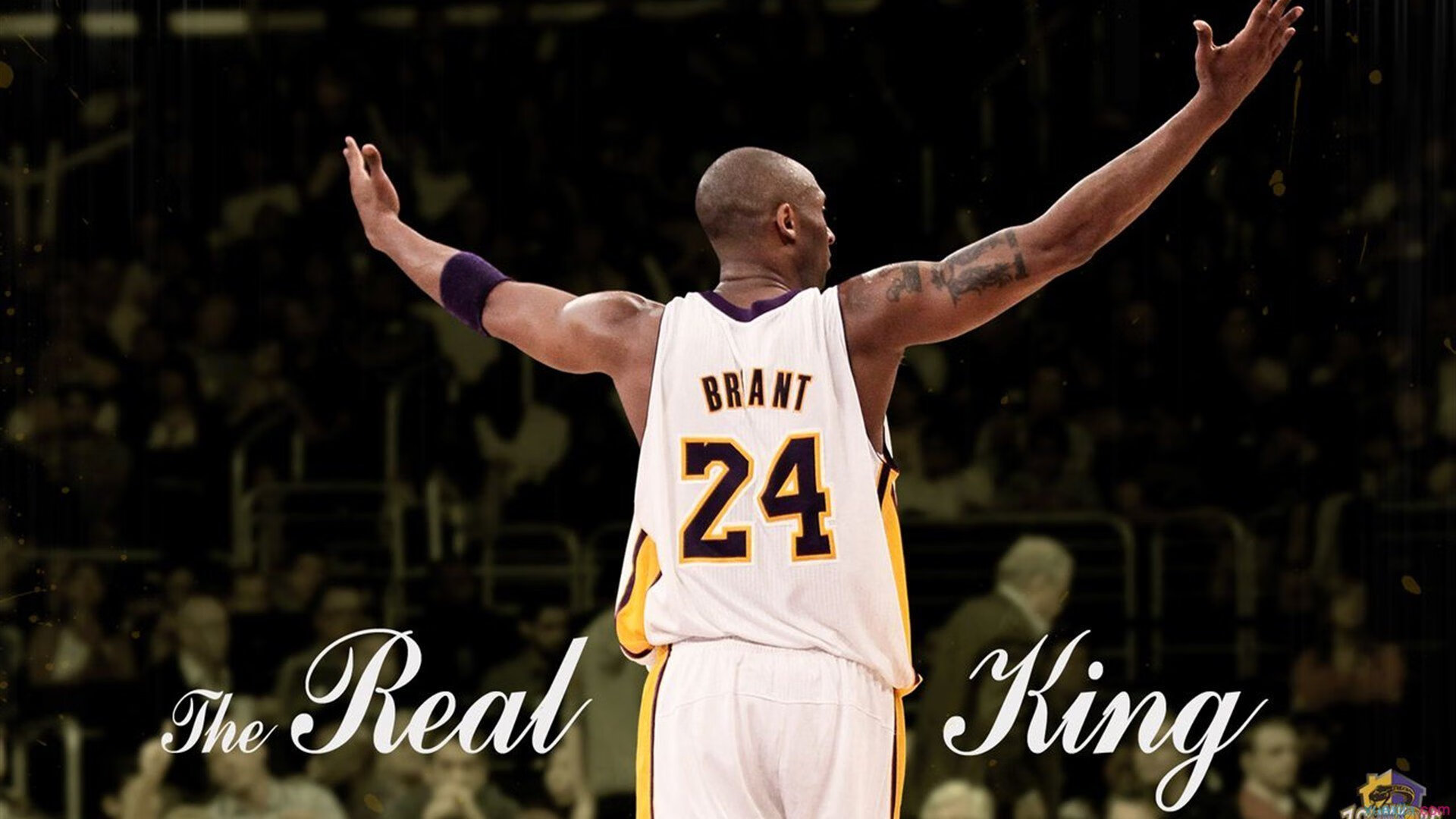 杜兰特关键节点突破纪录,IG带队取胜!